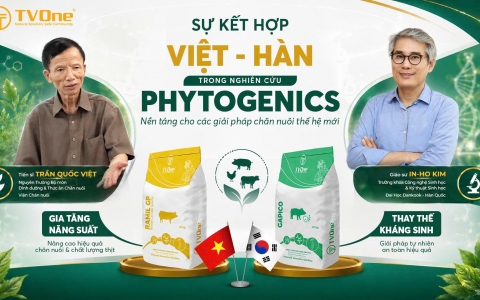 [Người Chăn Nuôi] Sự kết hợp Việt – Hàn trong nghiên cứu Phytogenics: Nền tảng cho các giải pháp chăn nuôi thế hệ mới